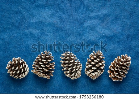 row of frosty decorative pine cones against blue textured bark paper with a copy space, winter holidays concept