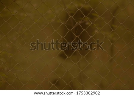 beautiful background from a metal fence in the garden