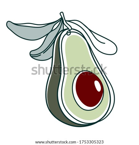 Line drawing avocado. Modern continuous line art, aesthetic contour. Vector illustration