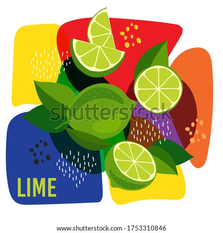 vector illustration of ripe lime fruits on abstract background. eco concept for natural lime fruit label.