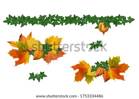 Autumn leaves compositions set. Bright clip art on white background