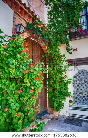 Summer flower growing at home around an old door.
Stock Photo Extremadura, Spain with blooming geraniums at home.