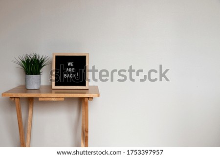 we are back! phrase with white letters enclosed in a wooden frame next to a plant on a table on the left side of a white background