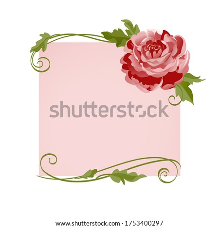Greeting card with pink peonies. Vector peony flower, rose flower 