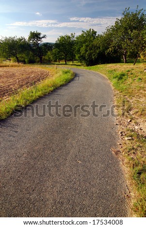 road through summer countryside