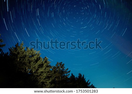 Beautiful tracks of stars in the night sky with spruce forest in the foreground