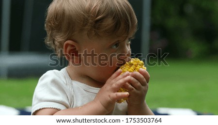 
Baby eating corn cob outdoors. Toddler infant boy eats healthy snack outside