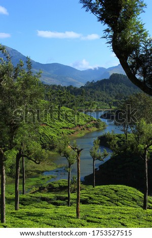Beautiful green tea garden hills with a river. 
