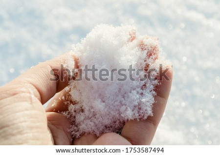 Holding natural soft white snow in his hand, outdoors. Winter day and snow in the hand. Sun glare is reflected in the snow. Hand holds cold snow. Spending time outdoors in winter. Royalty-Free Stock Photo #1753587494