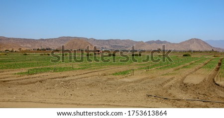 
View of a cultivated field on the countryside.