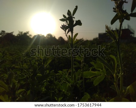Agricultural land at sunse.. wonderful