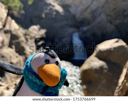 Toy Penguin in Sequoia National Park, USA