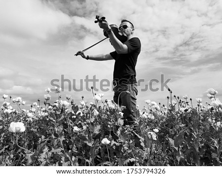 attractive man standing in white poppy field and playing violin