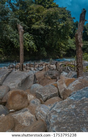 Rough stream flowing through the Jungle in Sri lanka Sinharaja Rainforest