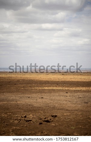 landscape of serengeti national park