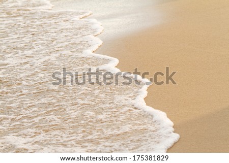 Photo of the sunny summer sandy beach 