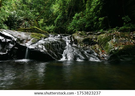 Waterfall river stream view,Focus on waterfall.- Slow shutter speed,motion image