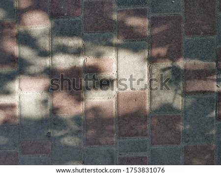 shadow from foliage on paving slabs