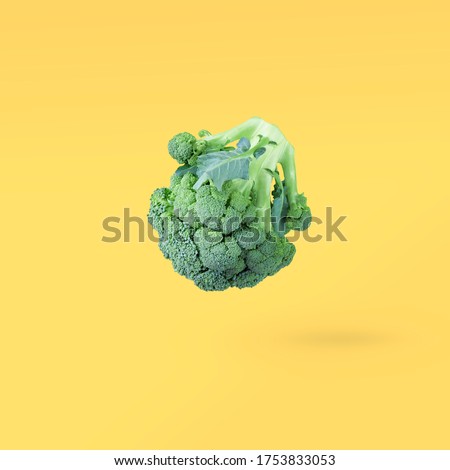 Closeup broccoli soars in the air on a yellow background with a shadow. Creative flying food concept.Square minimalistic vegetable background with free copy space for text.