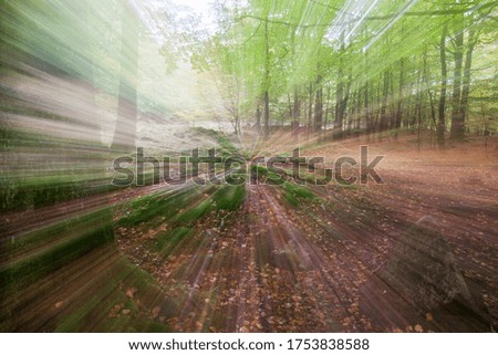 Abstract photo, forest in summer photographed with different effects of motion and zoom. Colorful textured background. long shutter speed.