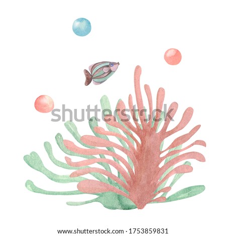Hand-painted composition of sea corals brown green on a white background. Watercolor illustration of the underwater world