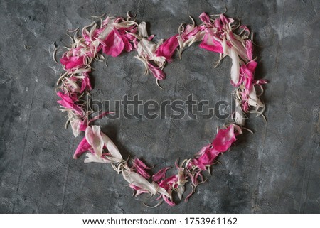 flower heart pink blue background