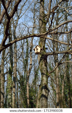 Birdhouse hanging on a tree branch