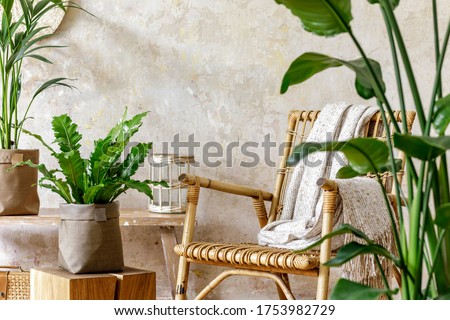Neutral composition of living room interior with rattan armchair, a lot of tropical plants in design pots, decoration and elegant personal accessories in stylish home decor. Royalty-Free Stock Photo #1753982729