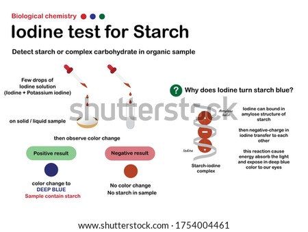 Biology chemistry show experiment of iodine test for detect starch (or carbohydrate) in sample such as food, milk, cosmetic or other Royalty-Free Stock Photo #1754004461