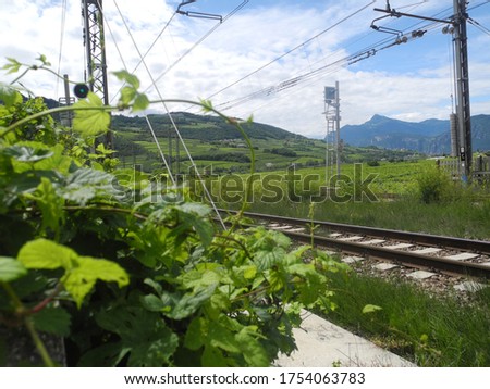 Train track with green vegetation and mountains in an Italian alpine village. spring.

