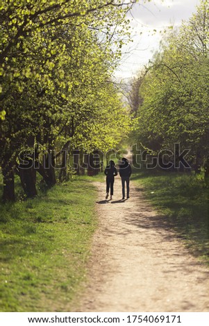 Silhouettes of people walking along an alley in a park in spring on a sunny day
