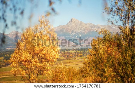 Mount Krivan peak (Slovak symbol) with blurred autumn coloured trees in foreground, Typical autumnal scenery of Liptov region, Slovakia