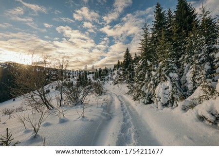 A path with trees on the side of a snow covered slope. High quality photo
