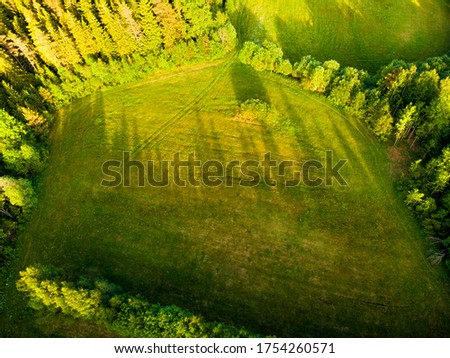 Green field in the forest top view outlines of shadows from trees