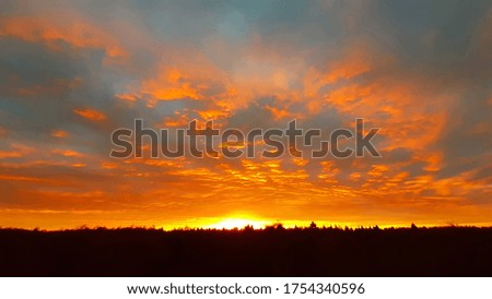 Panoramic view of the beautiful, fairy landscape of fiery sunset over the forest