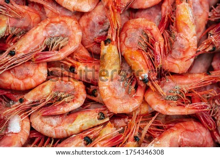 Lot of boiled frozen wild shrimp with caviar cooked in sea water. Background of group small aquatic crustaceans. Prawn - Asian sea delicacy cuisine as an appetizer. Close-up flat lay of tasty seafood.