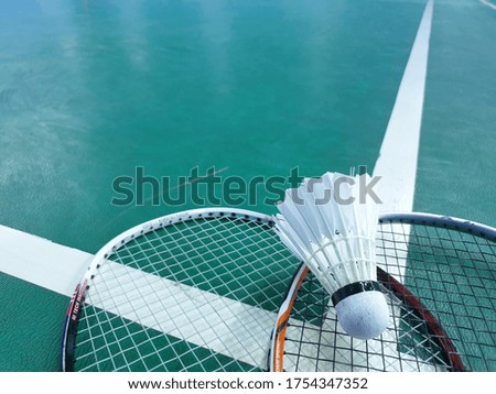 Badminton courts with racket and shuttlecock
