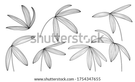 Exotic tropical leaf hand drawn vector. Botanical leaves black and white engraved ink art. Design for fabric, textile print, wrapping paper, fashion, interior design and cover. 