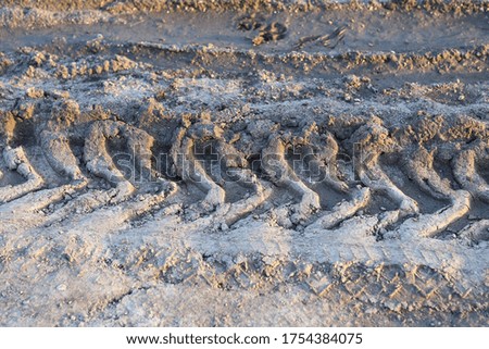 Imprints of car tires on a dirt country road in the light of the setting sun.