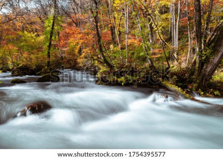 Beautiful background and wallpaper of Oirase stream in colorful autumn forest. Tourist destination in Tohoku, Japan