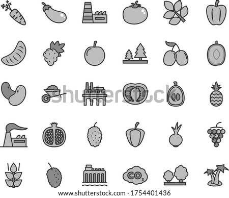 Thin line gray tint vector icon set - garden trolley vector, tomato, beet, a pineapple, mint, half pomegranate, grape, large, mulberry, tasty, cornels, delicious plum, slice of tangerine, loquat