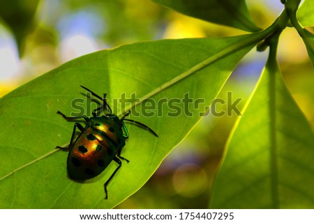 Nature nurtures every living organism  Royalty-Free Stock Photo #1754407295
