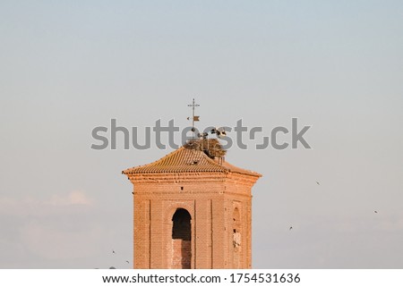 Church tower in the town of Marchamalo in the province of Guadalajara in Spain with a stork nest on the roof. 