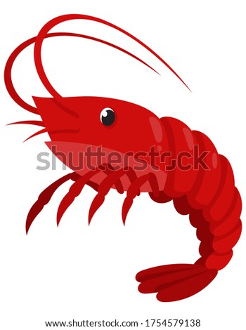 Shrimp in cartoon style. Sea animal isolated on white background.