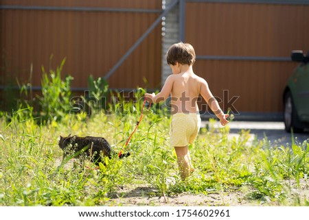 Little girl is walking with her cat on a leash through her backyard.