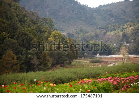 View of doi angkhang Mountain, Chiang Mai, Thailand
