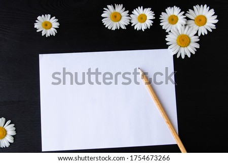 White daisies with pencil on a dark wooden background. Beautiful spring composition with white paper, template with copy space for text
