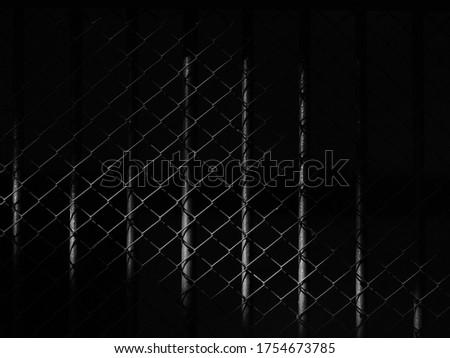 wire mesh of cage with light and shadow, black and white style Royalty-Free Stock Photo #1754673785