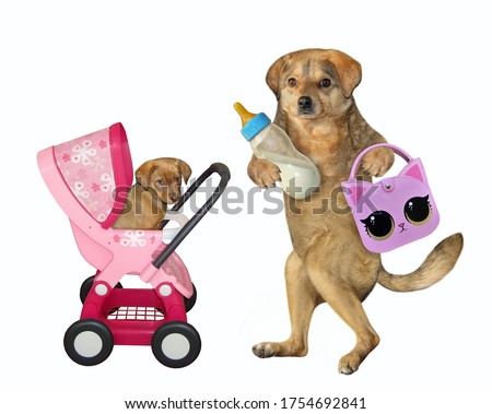 The beige dog is walking with a pink stroller with its puppy inside it. There are a bottle of milk and a handbag in its paws. White background. Isolated.