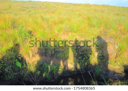 shadows under sunrise in misty Gawaraawila mountain which with ancient stories